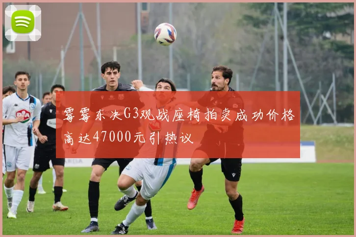 霉霉东决G3观战座椅拍卖成功价格高达47000元引热议