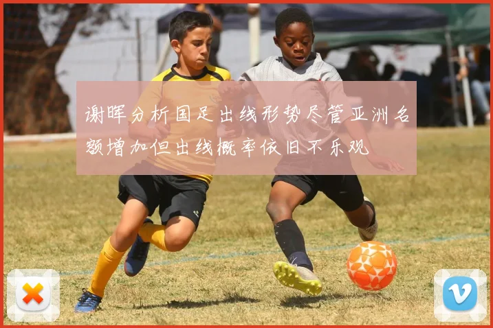 谢晖分析国足出线形势尽管亚洲名额增加但出线概率依旧不乐观